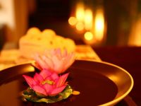 ��˿��������